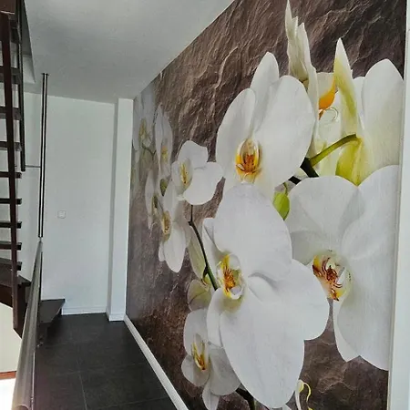 Gaestehaus Orchidee Hoya Exterior foto